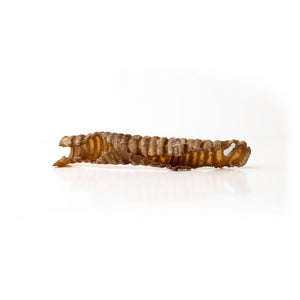 Only One Treats 5-7" Lamb Trachea｜狗狗零食及咀嚼小食｜加拿大直送-狗-毛孩物語Pets Thing｜香港寵物貓狗用品專門店：IATA寵物飛機籠、寵物手推車、貓爬架貓樹