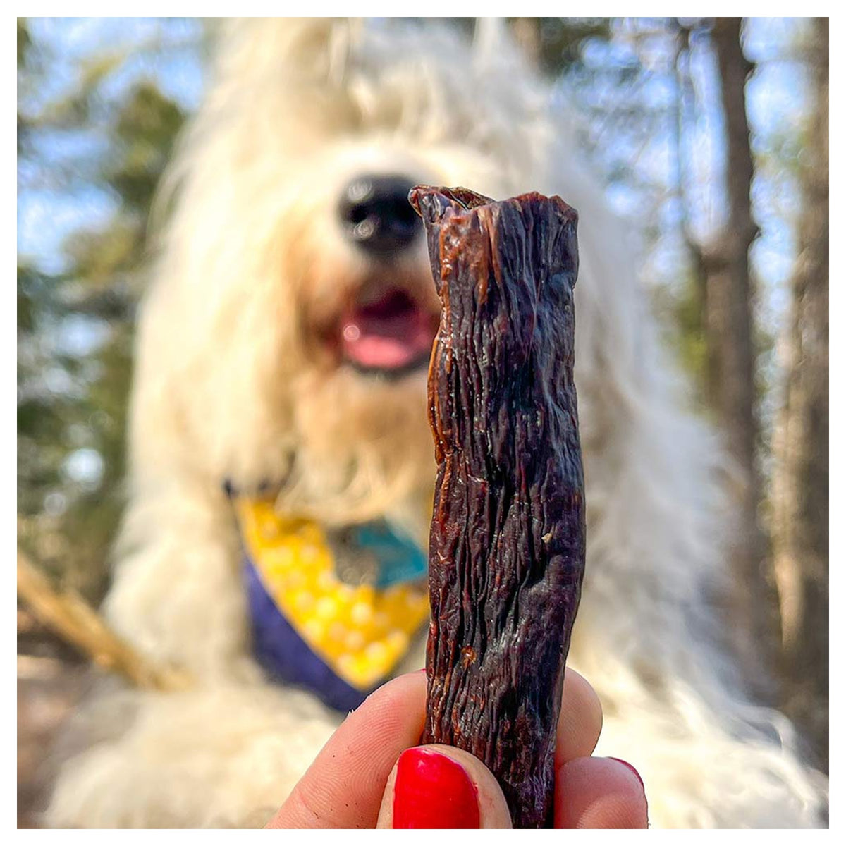 Only One Treats Rabbit & Beaver Sticks 70g｜狗狗零食及咀嚼小食｜加拿大直送-狗-毛孩物語Pets Thing｜香港寵物貓狗用品專門店：IATA寵物飛機籠、寵物手推車、貓爬架貓樹