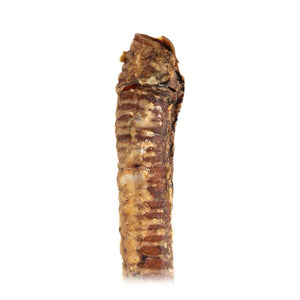 Only One Treats 10"+ Beef Trachea｜狗狗零食及咀嚼小食｜加拿大直送-狗-毛孩物語Pets Thing｜香港寵物貓狗用品專門店：IATA寵物飛機籠、寵物手推車、貓爬架貓樹