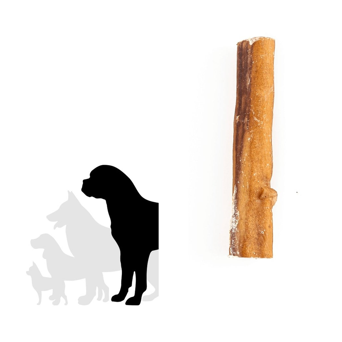 Only One Treats 6" Monster Bully Stick｜狗狗零食及咀嚼小食｜加拿大直送-狗-毛孩物語Pets Thing｜香港寵物貓狗用品專門店：IATA寵物飛機籠、寵物手推車、貓爬架貓樹