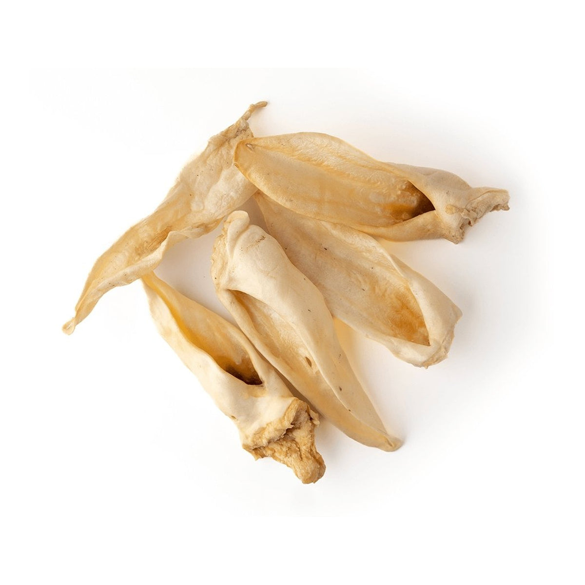 Only One Treats Goat Ear｜狗狗零食及咀嚼小食｜加拿大直送-狗-毛孩物語Pets Thing｜香港寵物貓狗用品專門店：IATA寵物飛機籠、寵物手推車、貓爬架貓樹