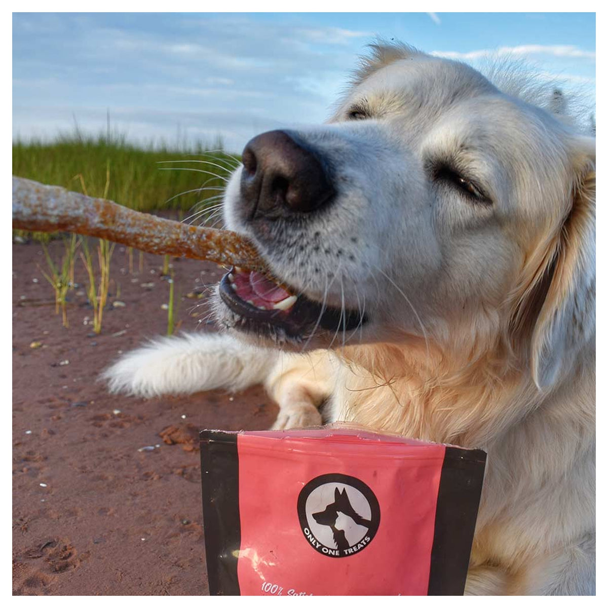Only One Treats Salmon Skin Strips 85g｜狗狗零食及咀嚼小食｜加拿大直送-狗-毛孩物語Pets Thing｜香港寵物貓狗用品專門店：IATA寵物飛機籠、寵物手推車、貓爬架貓樹