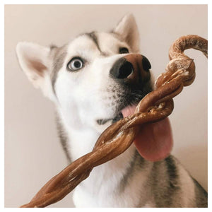 Only One Treats 8-11" Braided Lamb Pizzle Stick｜狗狗零食及咀嚼小食｜加拿大直送-狗-毛孩物語Pets Thing｜香港寵物貓狗用品專門店：IATA寵物飛機籠、寵物手推車、貓爬架貓樹