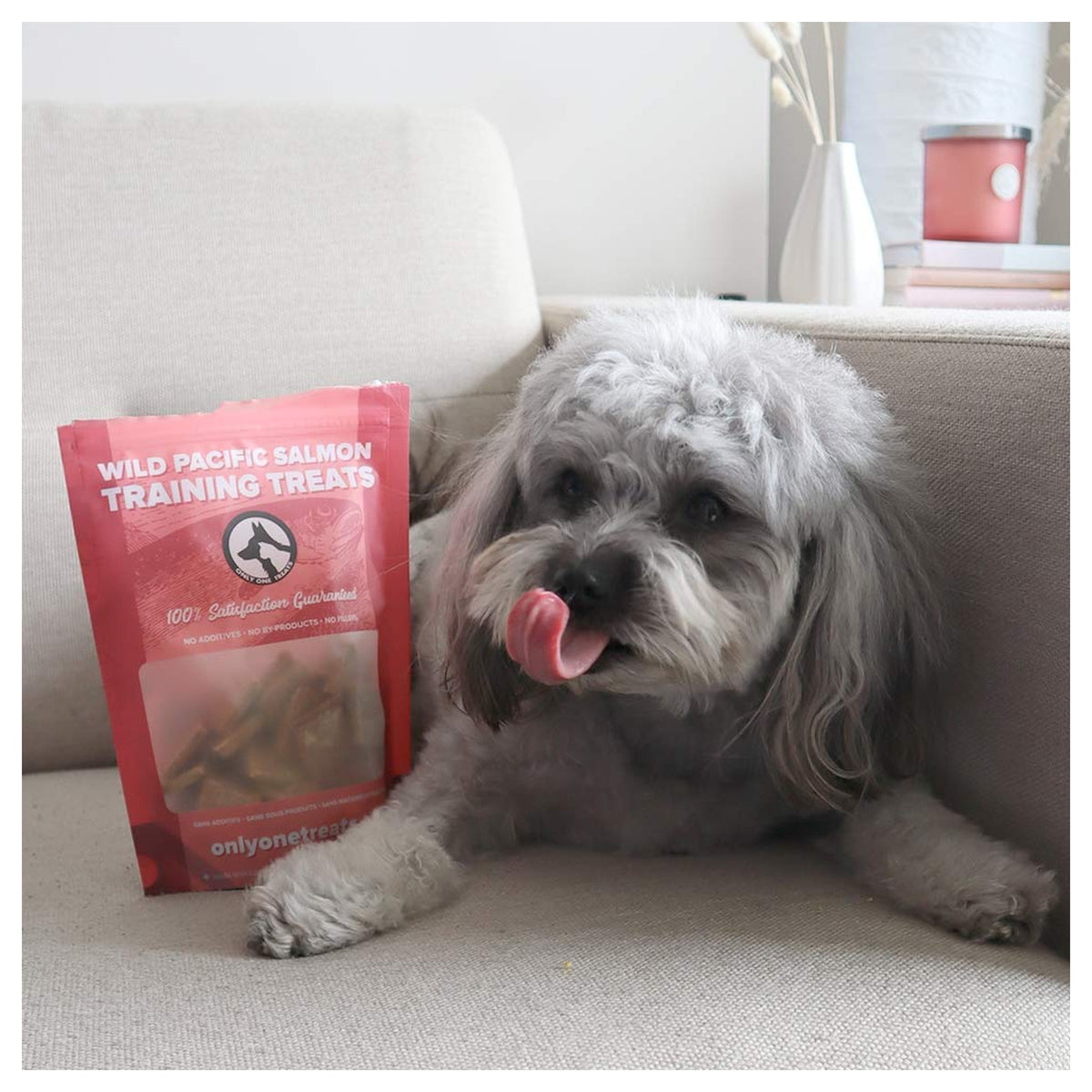 Only One Treats Wild Pacific Salmon Training Treats 170g｜貓狗零食｜加拿大直送-貓狗-毛孩物語Pets Thing｜香港寵物貓狗用品專門店：IATA寵物飛機籠、寵物手推車、貓爬架貓樹