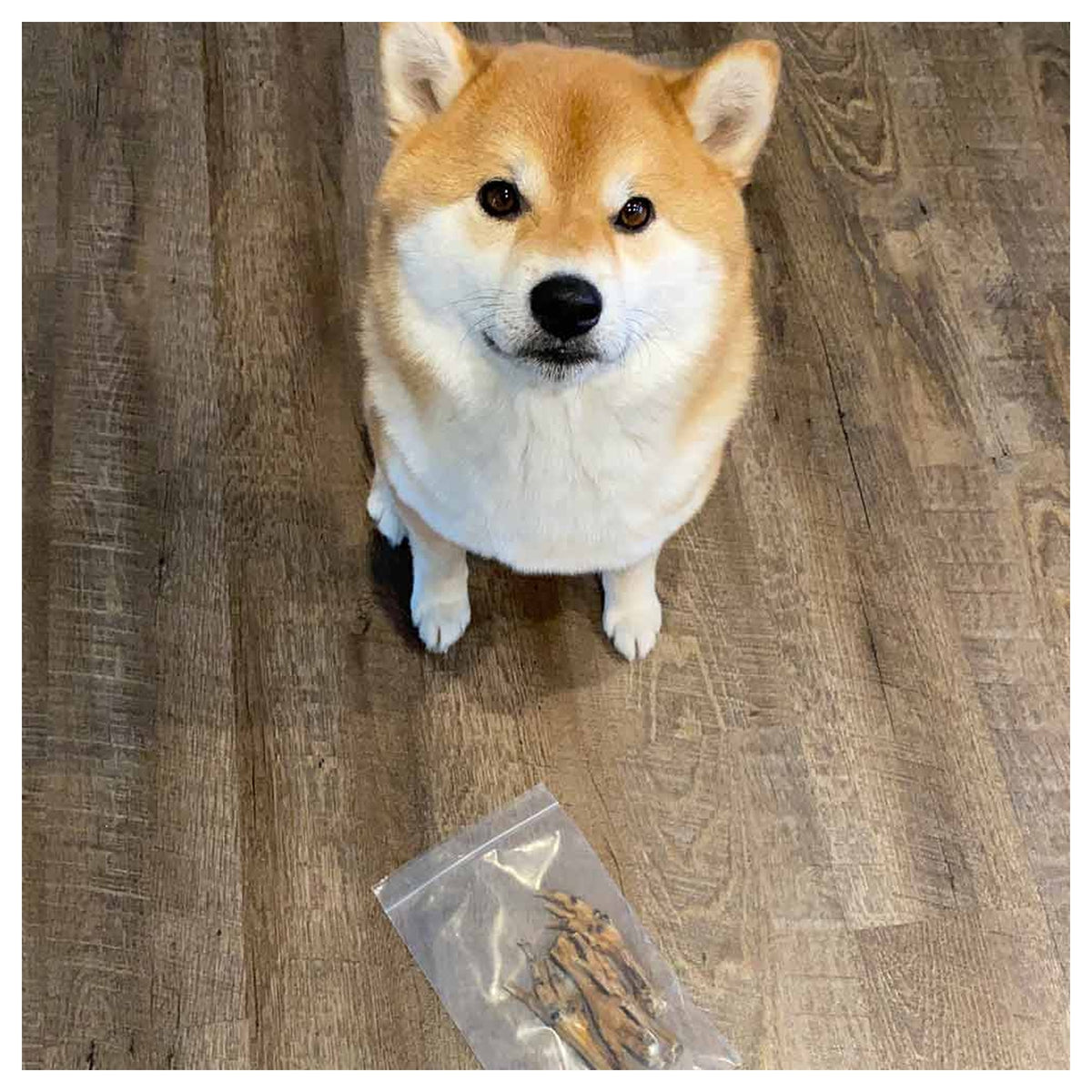 Only One Treats Chicken Feet｜貓狗零食｜加拿大直送-貓狗-毛孩物語Pets Thing｜香港寵物貓狗用品專門店：IATA寵物飛機籠、寵物手推車、貓爬架貓樹