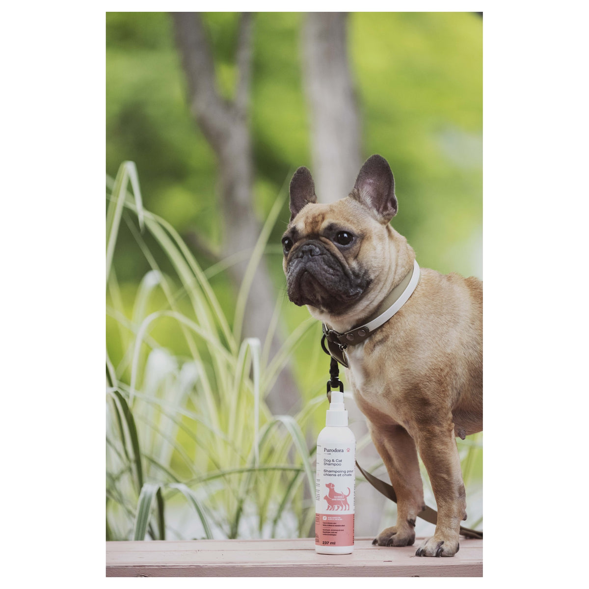Purodora Lab Dog & Cat Shampoo - No-Rinse｜貓狗免沖水洗毛液｜加拿大直送 產品細節圖 2