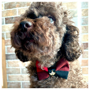 Puccissimé Pet Couture Canada bow tie｜狗狗蝴蝶結領飾｜加拿大直送 產品細節圖 2