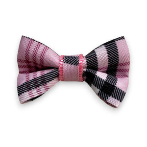 Puccissimé Pet Couture Blossom bow tie｜狗狗蝴蝶結領飾｜加拿大直送-狗-毛孩物語Pets Thing｜香港寵物貓狗用品專門店：IATA寵物飛機籠、寵物手推車、貓爬架貓樹