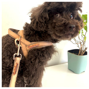 Puccissimé Pet Couture Peach Genuine Leather Leash｜狗狗牽引繩｜加拿大直送 產品細節圖 2