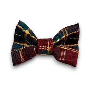 Puccissimé Pet Couture Welsh bow tie｜狗狗蝴蝶結領飾｜加拿大直送 主產品圖