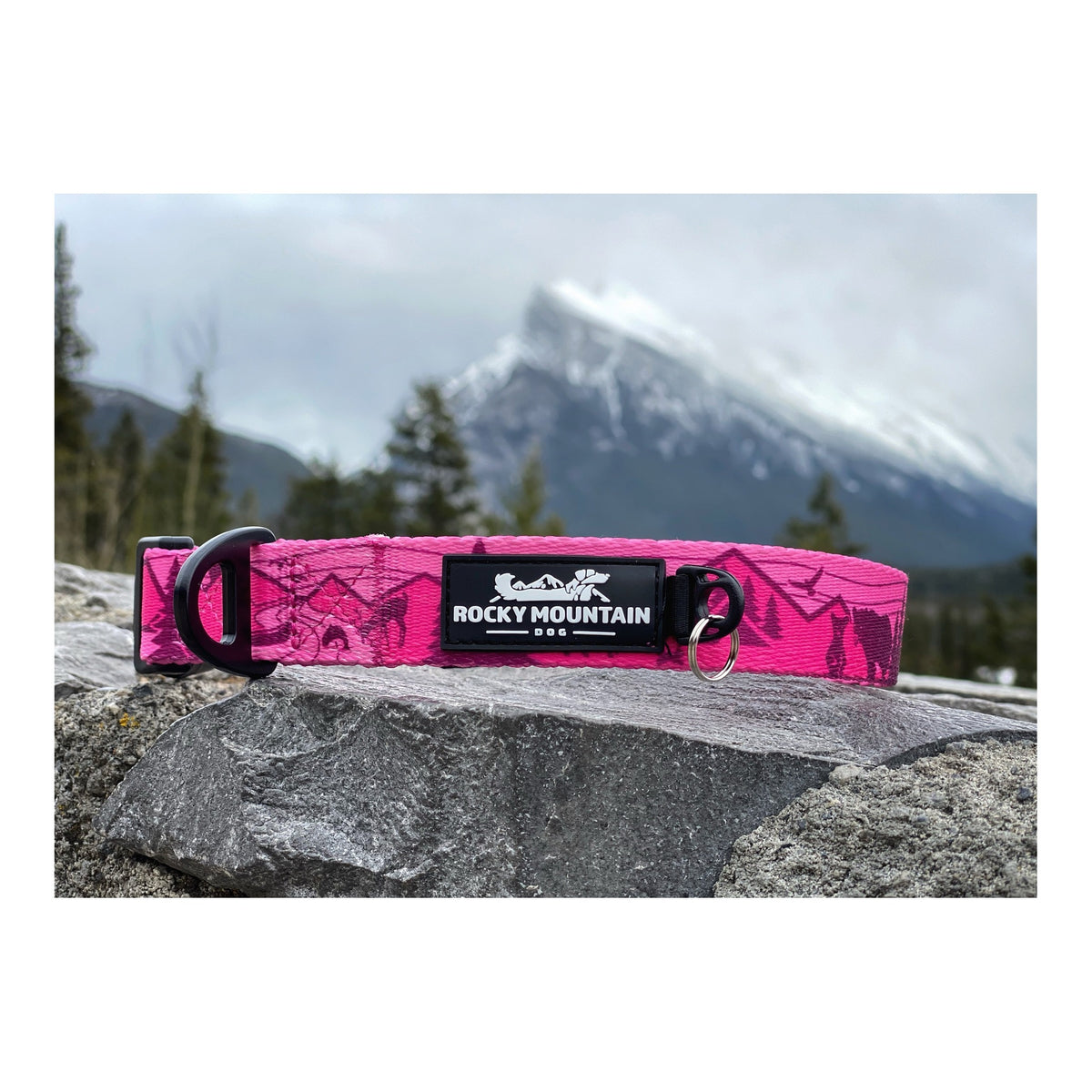 Rocky Mountain Dog Cascade Alpine 狗頸圈｜加拿大直送 主產品圖