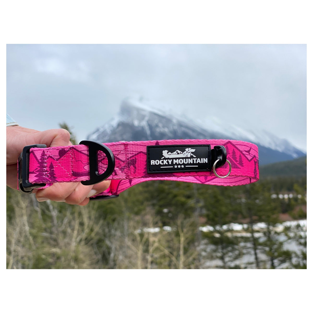 Rocky Mountain Dog Cascade Alpine 狗頸圈｜加拿大直送 產品細節圖 3
