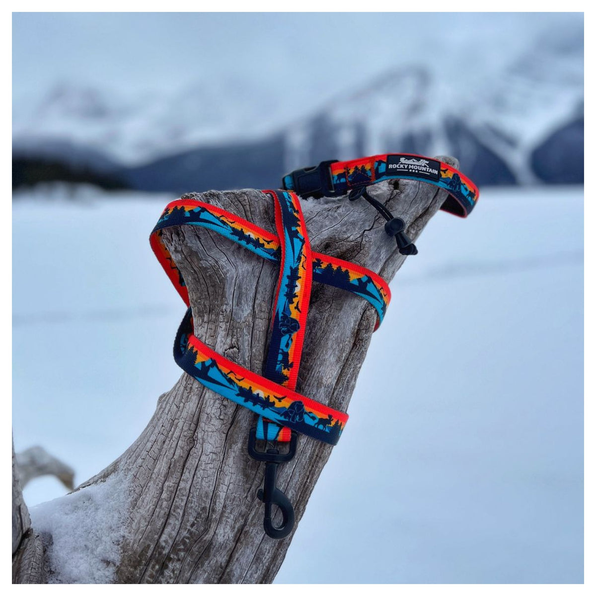Rocky Mountain Dog Banff All Mountain 狗帶｜加拿大直送 產品細節圖 4