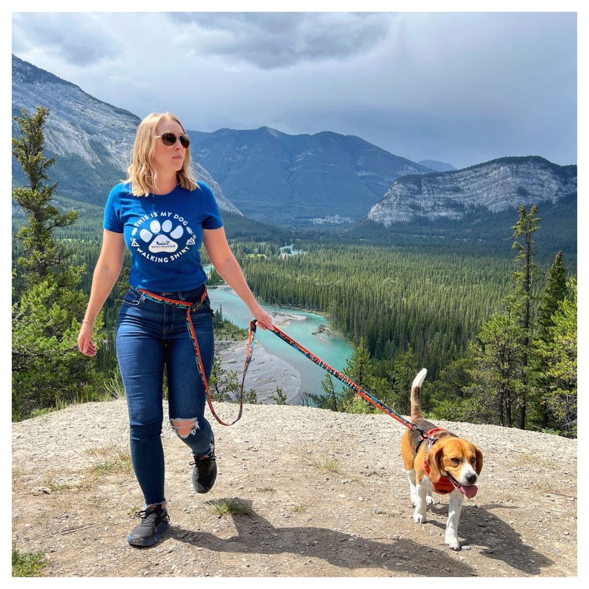 Rocky Mountain Dog Banff All Mountain 狗帶｜加拿大直送 產品細節圖 5