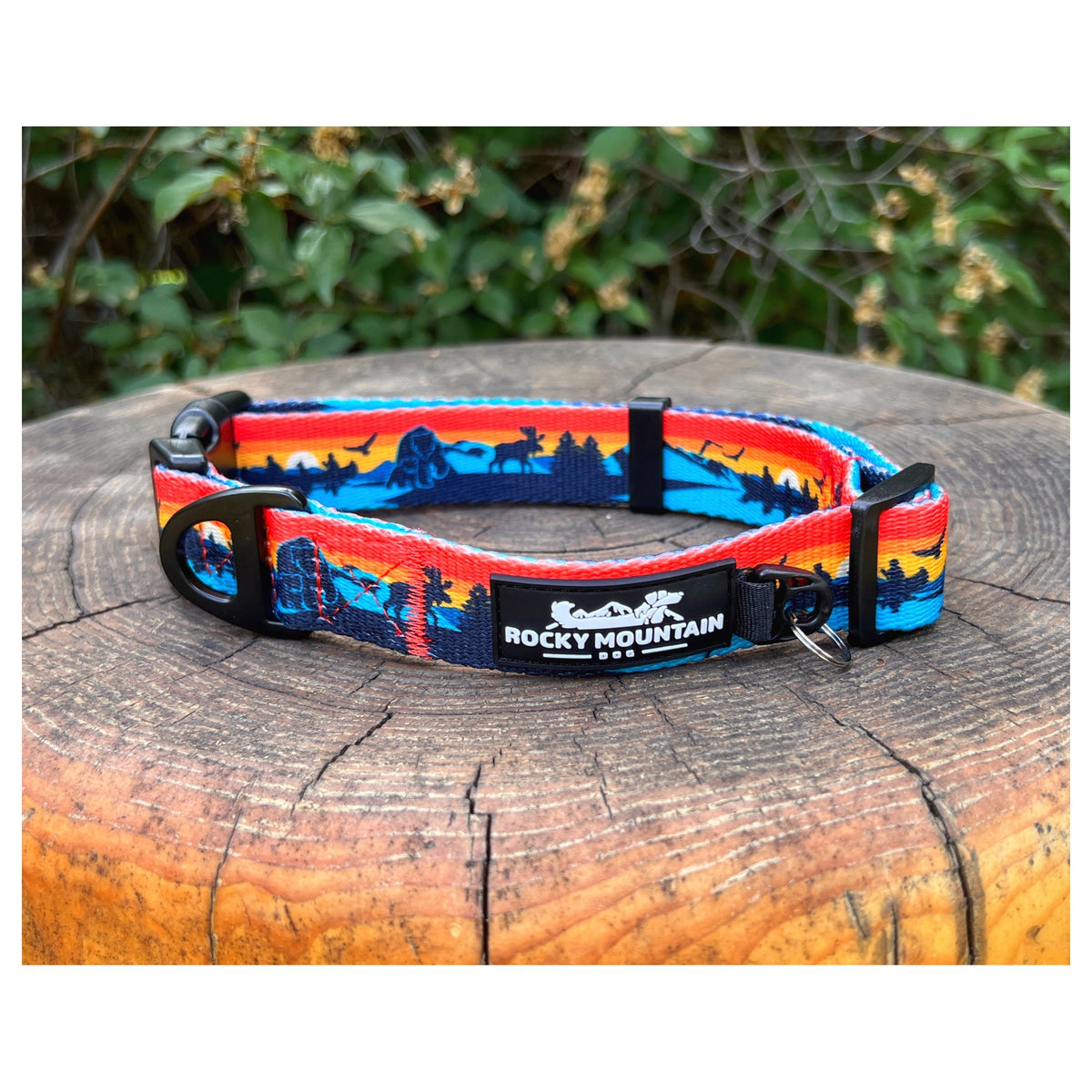 Rocky Mountain Dog Banff Alpine 狗頸圈｜加拿大直送 產品細節圖 3
