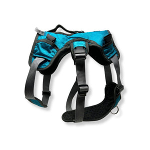 Rocky Mountain Dog Mountaineer 狗狗背囊 & Stand｜Alone 狗狗胸背帶｜加拿大直送 產品細節圖 3