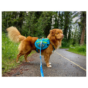 Rocky Mountain Dog Mountaineer 狗狗背囊 & Stand｜Alone 狗狗胸背帶｜加拿大直送 產品細節圖 4