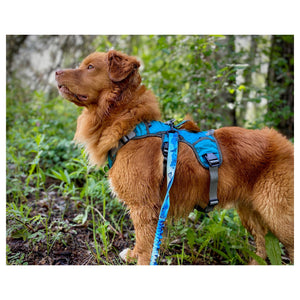 Rocky Mountain Dog Mountaineer 狗狗背囊 & Stand｜Alone 狗狗胸背帶｜加拿大直送 產品細節圖 6