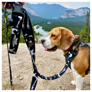 Rocky Mountain Dog The Grizzly All Mountain 狗帶｜加拿大直送 產品細節圖 5