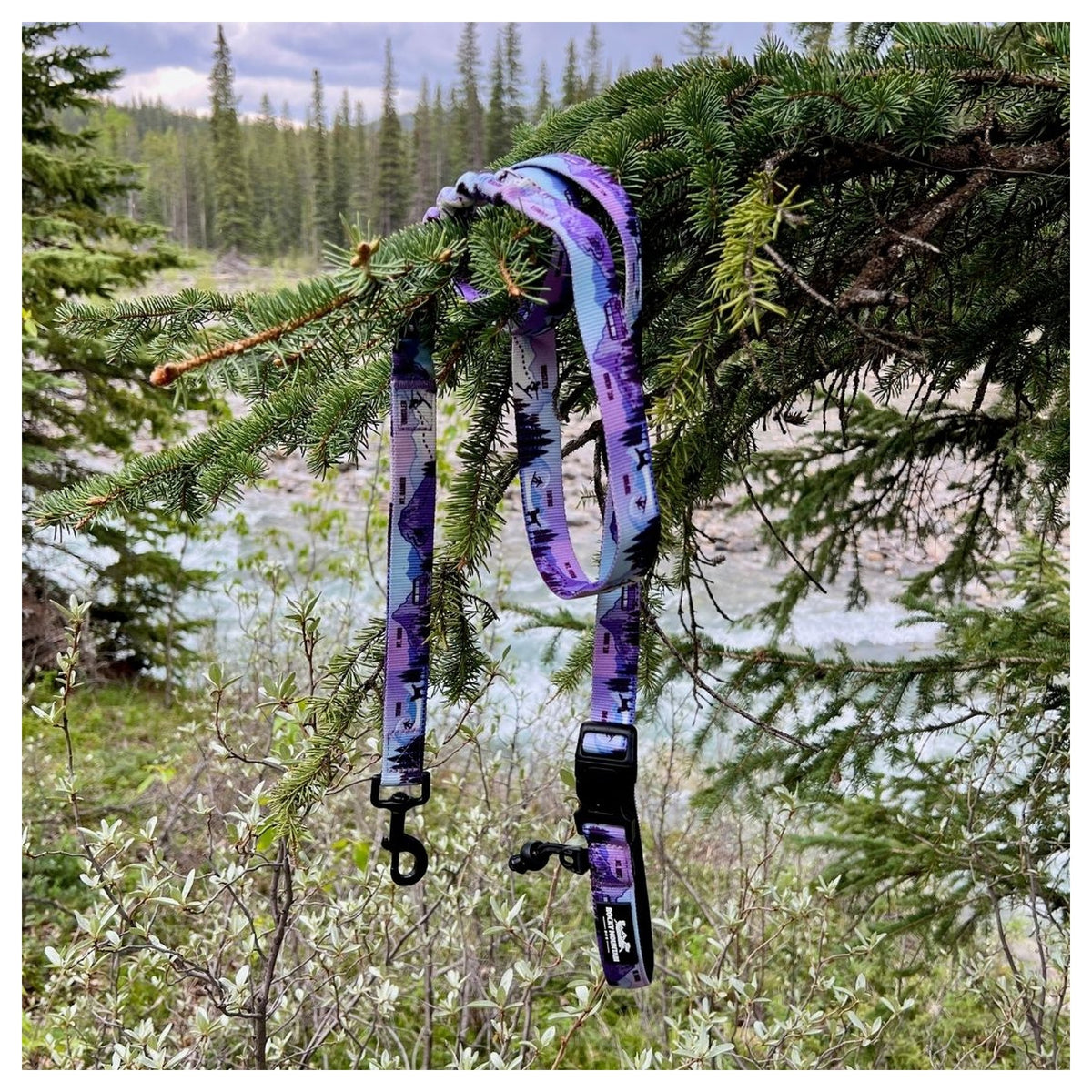 Rocky Mountain Dog PNW All Mountain 狗帶｜加拿大直送 產品細節圖 4