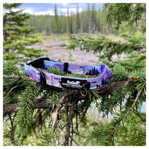 Rocky Mountain Dog PNW Alpine 狗頸圈｜加拿大直送 產品細節圖 2