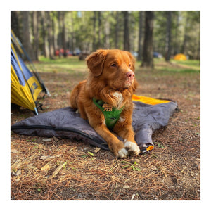 Rocky Mountain Dog Yukon Dog Sleeping Bag 戶外狗狗用品｜加拿大直送 主產品圖