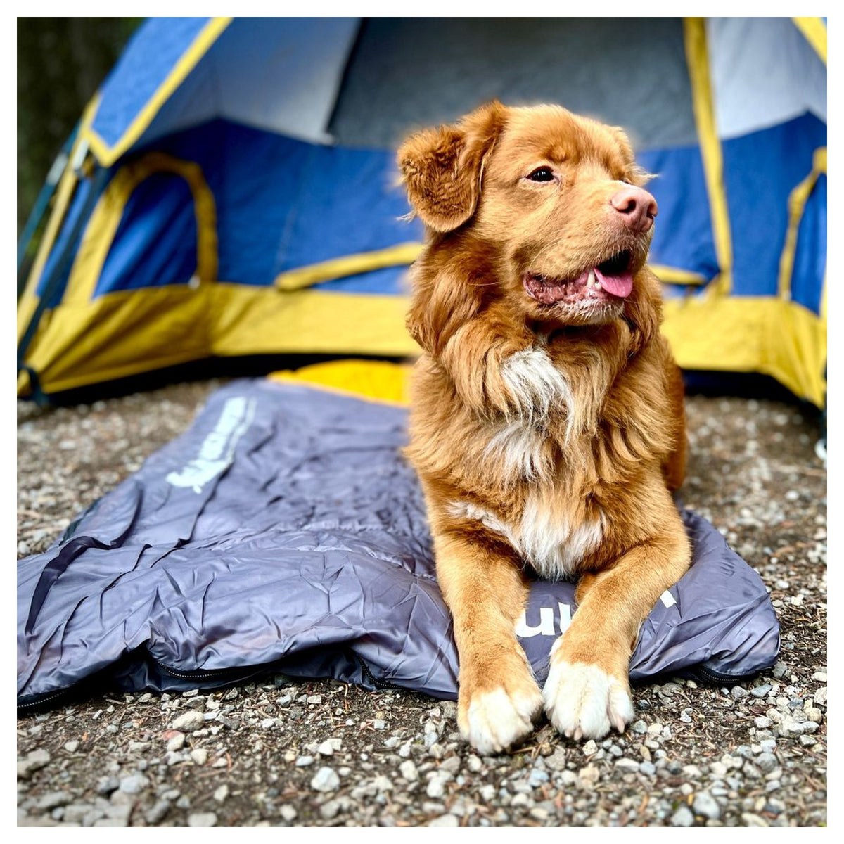 Rocky Mountain Dog Yukon Dog Sleeping Bag 戶外狗狗用品｜加拿大直送 產品細節圖 2