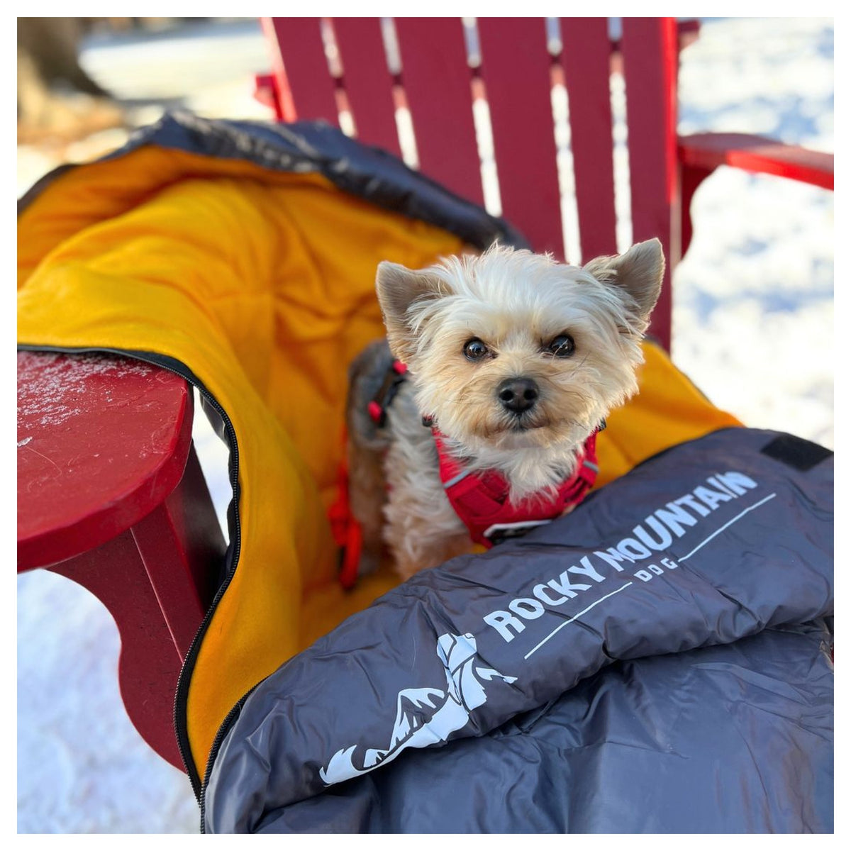 Rocky Mountain Dog Yukon Dog Sleeping Bag 戶外狗狗用品｜加拿大直送 產品細節圖 4
