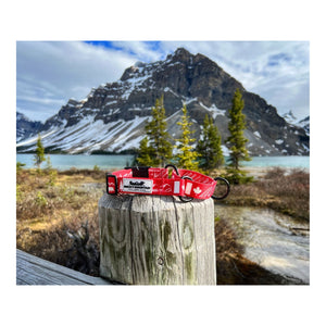 Rocky Mountain Dog Canadian Rockies Martingale Clip Collar 戶外狗狗用品｜加拿大直送 主產品圖