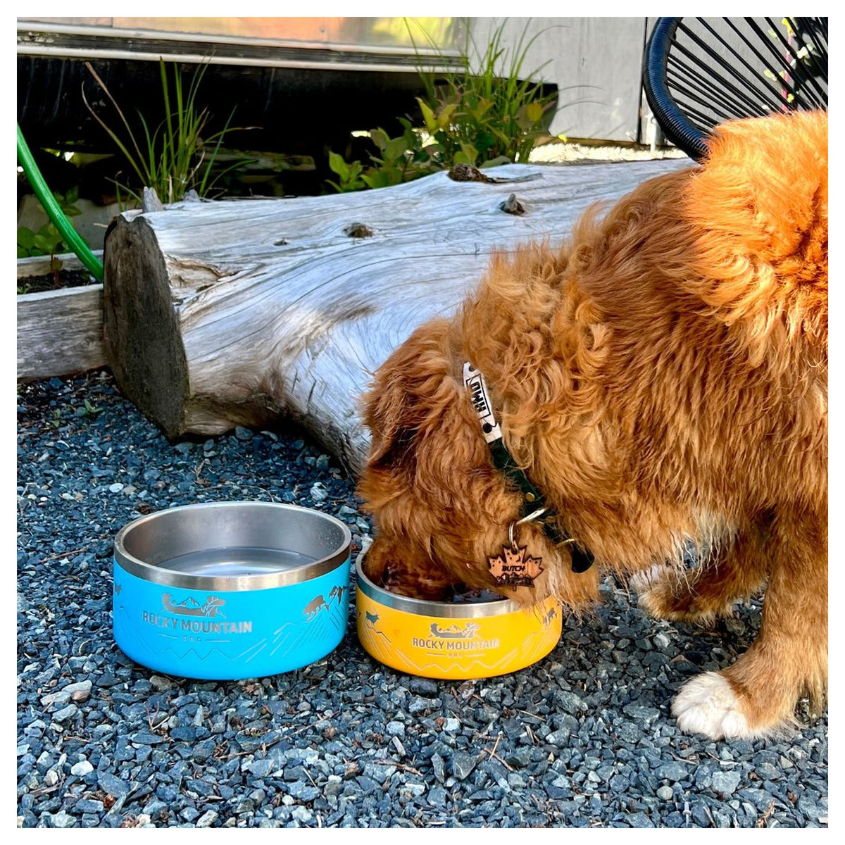 Rocky Mountain Dog Rocky Mountain 狗碗｜加拿大直送 產品細節圖 2