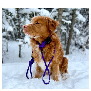 Rocky Mountain Dog Fernie Slip Lead 戶外狗狗用品｜加拿大直送 產品細節圖 4