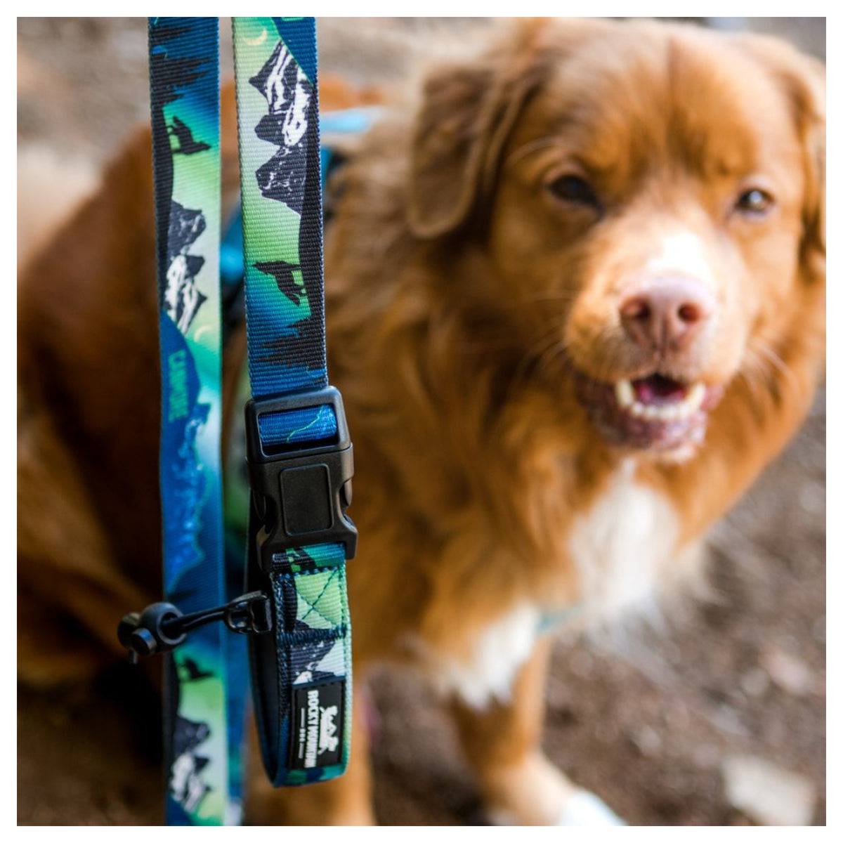 Rocky Mountain Dog V2 Canmore All Mountain 狗帶｜加拿大直送 產品細節圖 2