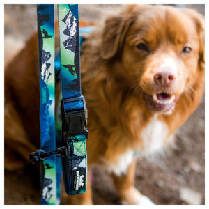 Rocky Mountain Dog V2 Canmore All Mountain 狗帶｜加拿大直送 產品細節圖 2