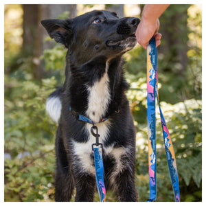 Rocky Mountain Dog V2 Canmore All Mountain 狗帶｜加拿大直送 產品細節圖 3