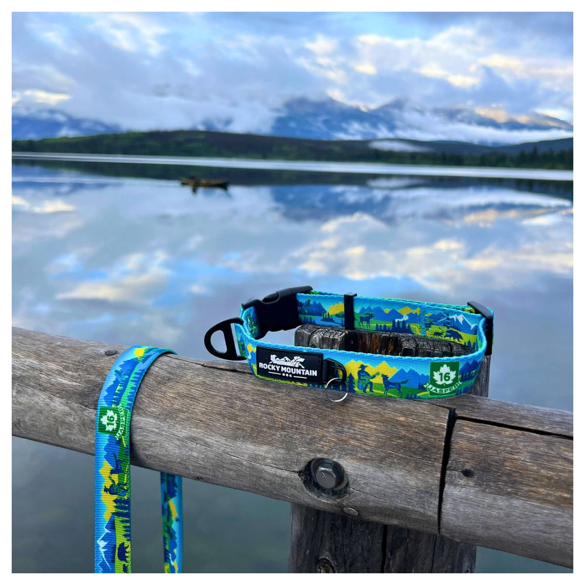 Rocky Mountain Dog Jasper Alpine 狗頸圈｜加拿大直送 產品細節圖 3