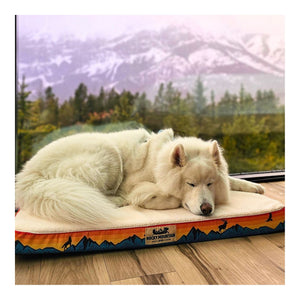 Rocky Mountain Dog Banff 狗床｜加拿大直送 主產品圖