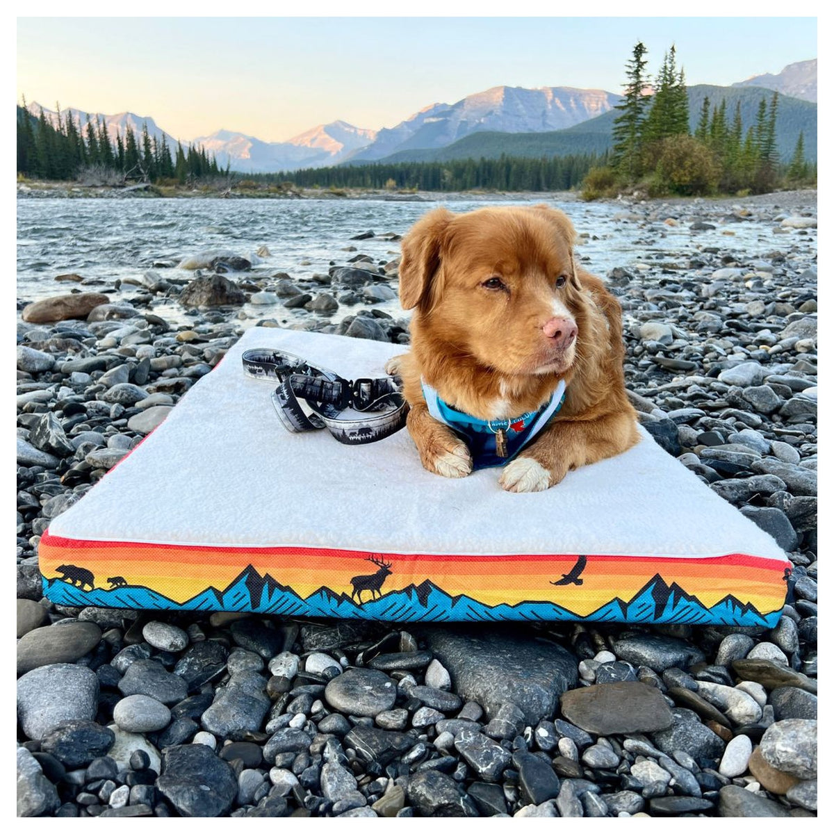 Rocky Mountain Dog Banff 狗床｜加拿大直送 產品細節圖 3