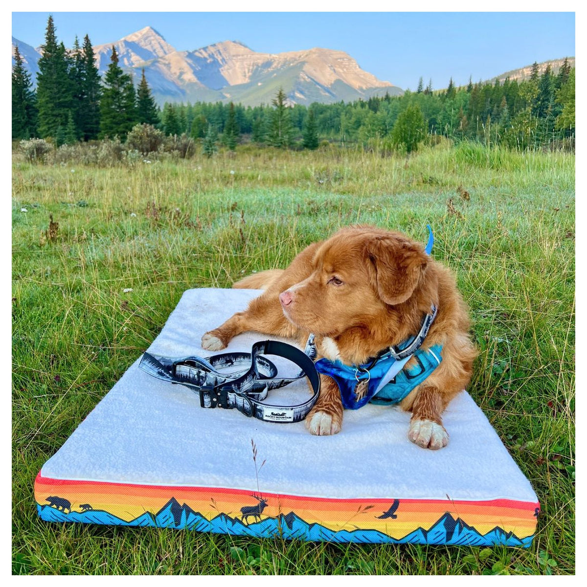 Rocky Mountain Dog Banff 狗床｜加拿大直送 產品細節圖 5