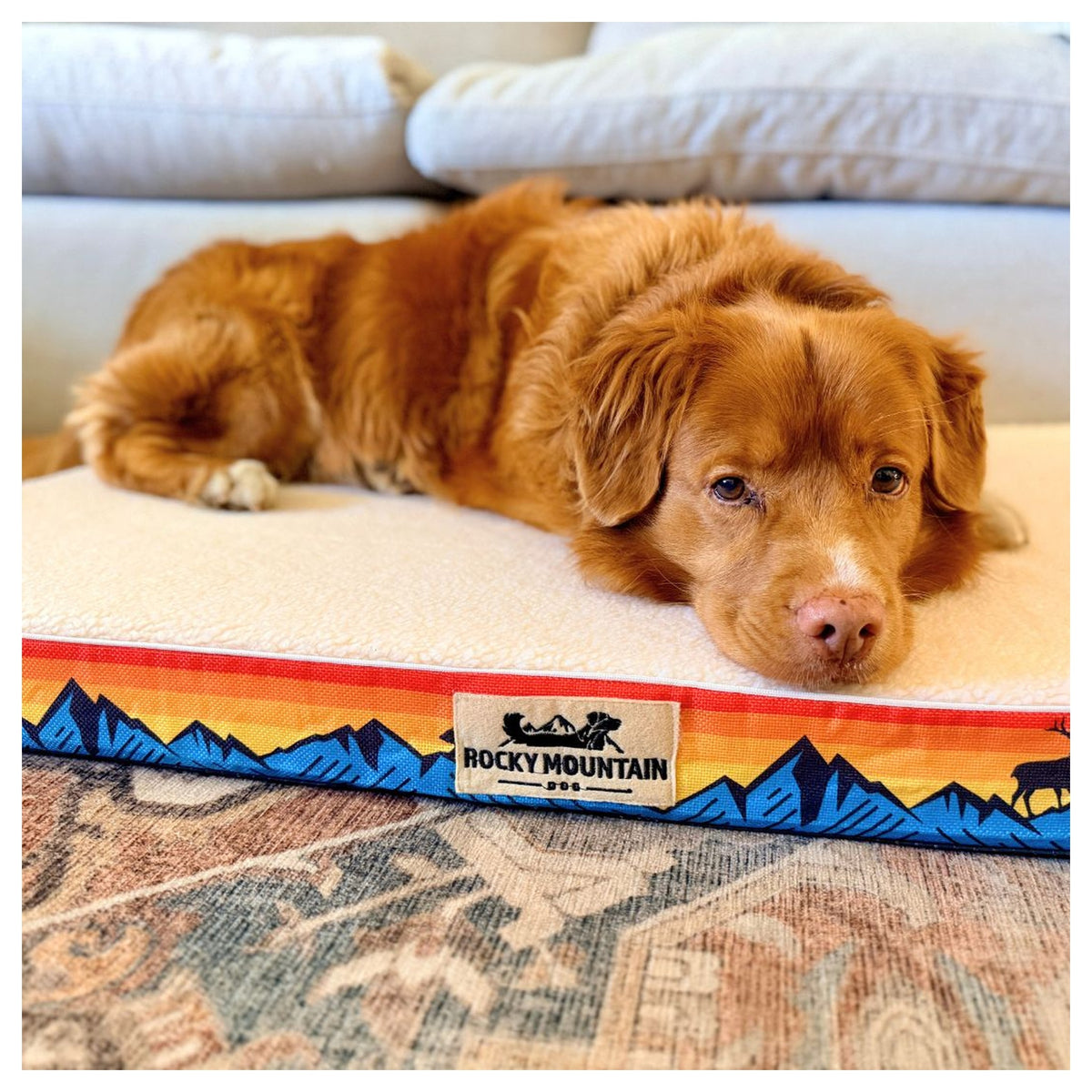Rocky Mountain Dog Banff 狗床｜加拿大直送 產品細節圖 6