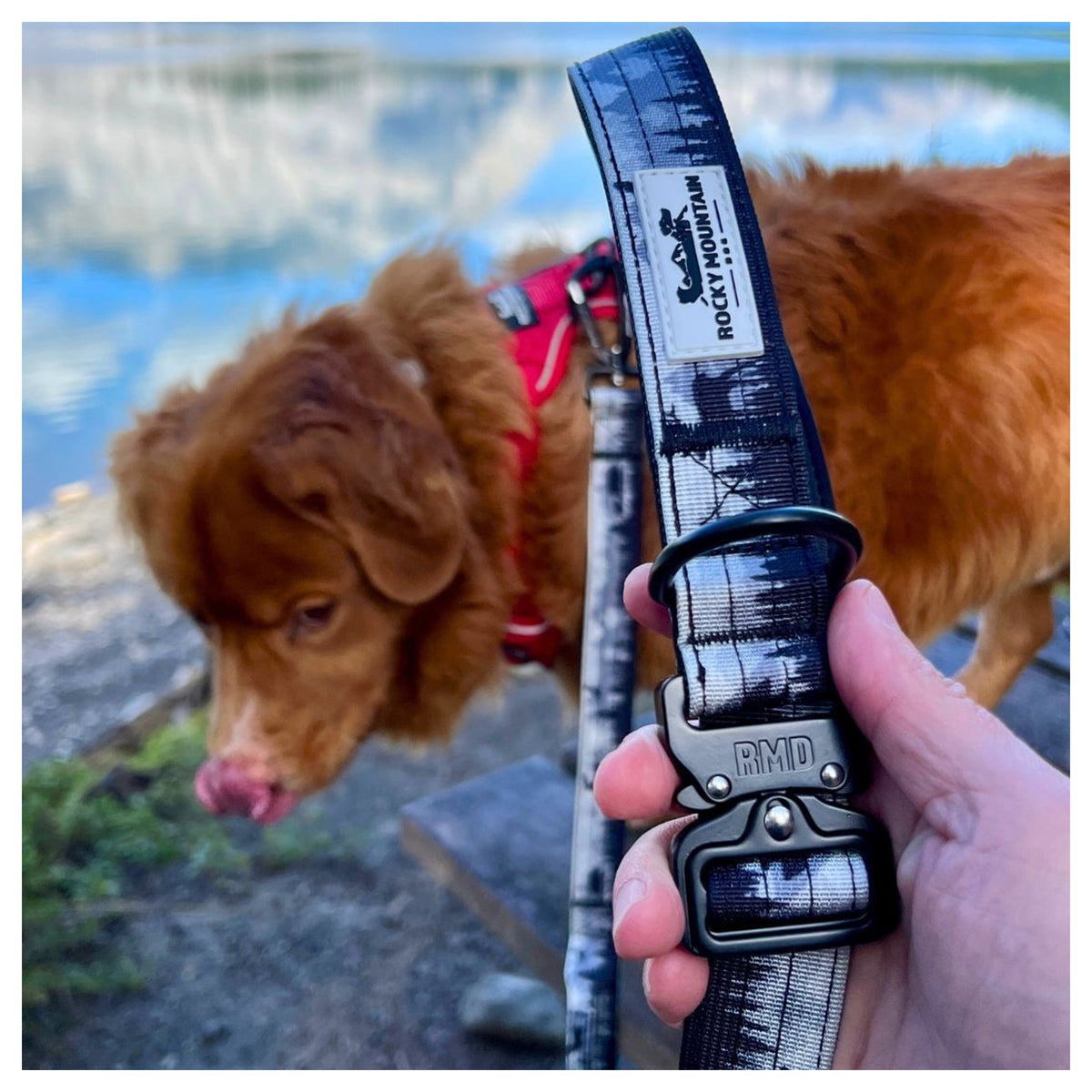 Rocky Mountain Dog The Wild Tactical 狗帶｜加拿大直送 產品細節圖 4