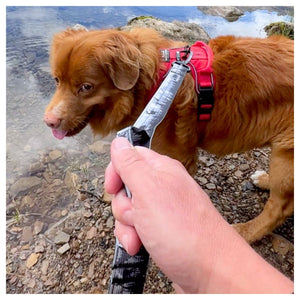 Rocky Mountain Dog The Wild Tactical 狗帶｜加拿大直送 產品細節圖 5