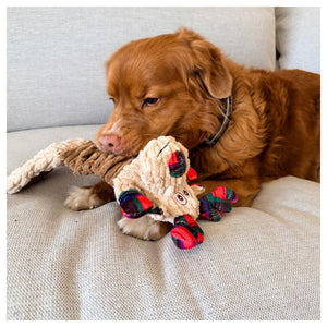 Rocky Mountain Dog Goofy Moose Stretchy 狗狗玩具｜加拿大直送 產品細節圖 4