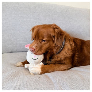 Rocky Mountain Dog Favourite Bunny Plush 狗狗玩具｜加拿大直送 產品細節圖 2