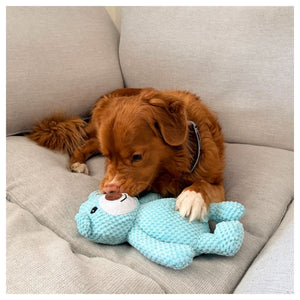 Rocky Mountain Dog Big Bear Plush 狗狗玩具｜加拿大直送 產品細節圖 2