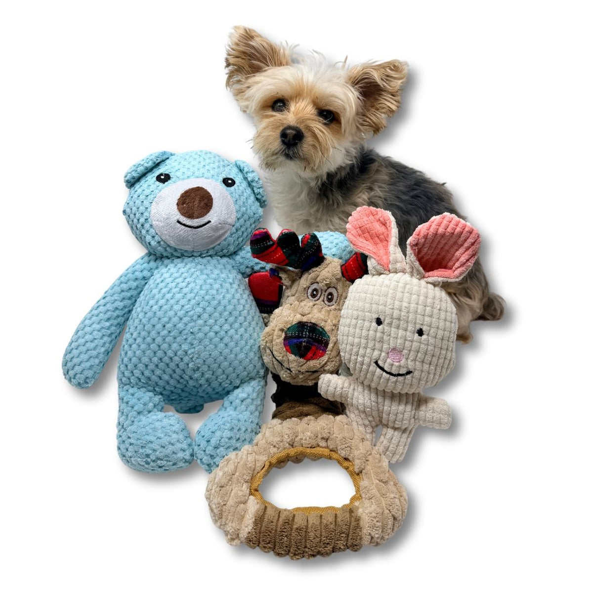 Rocky Mountain Dog Big Bear Plush 狗狗玩具｜加拿大直送 產品細節圖 5