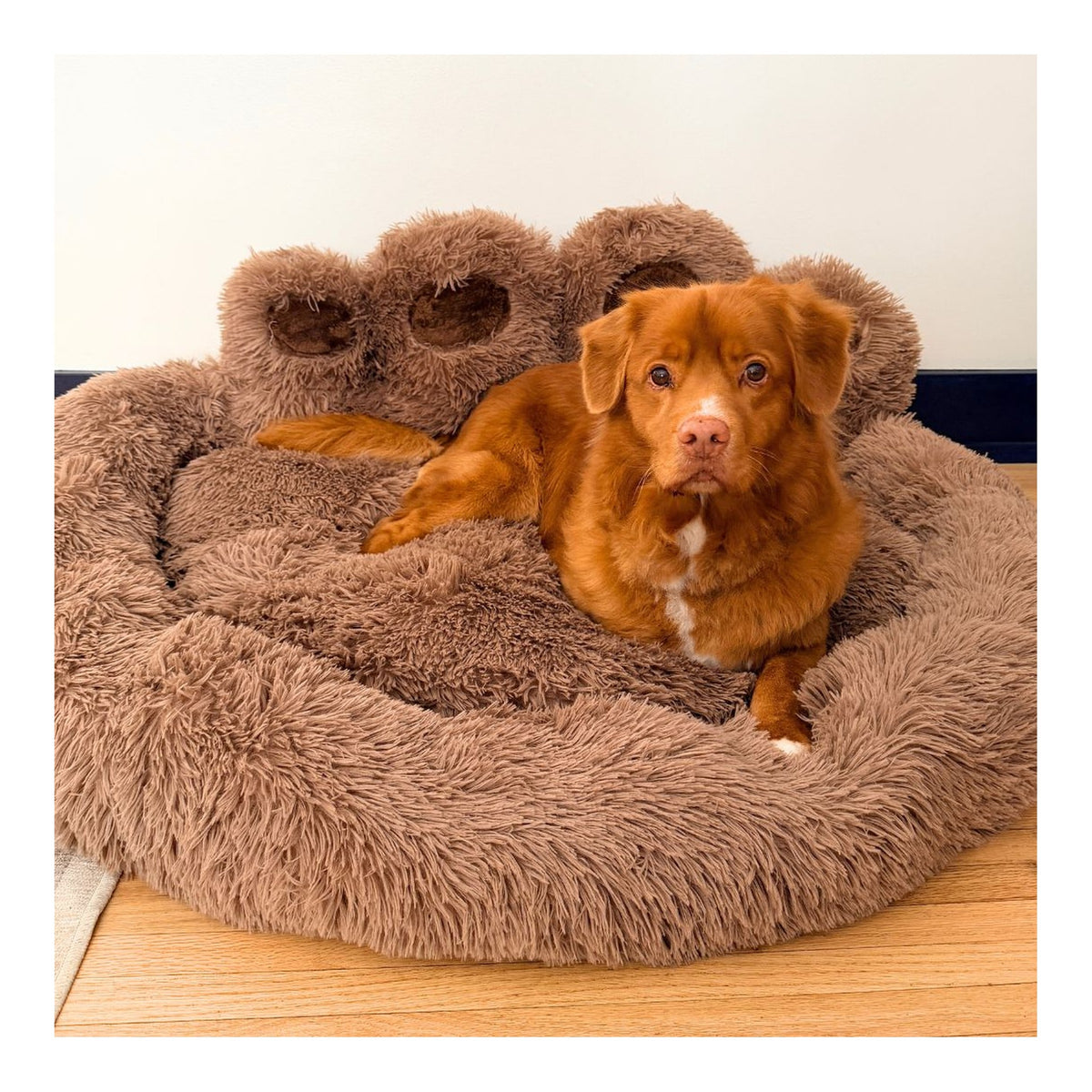 Rocky Mountain Dog Bigfoot 狗床｜加拿大直送 主產品圖