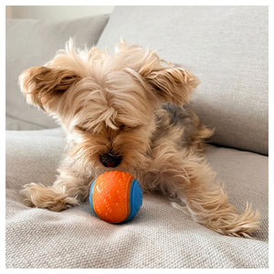 Rocky Mountain Dog Rocky Mountain 狗狗玩具 Ball｜加拿大直送 產品細節圖 6