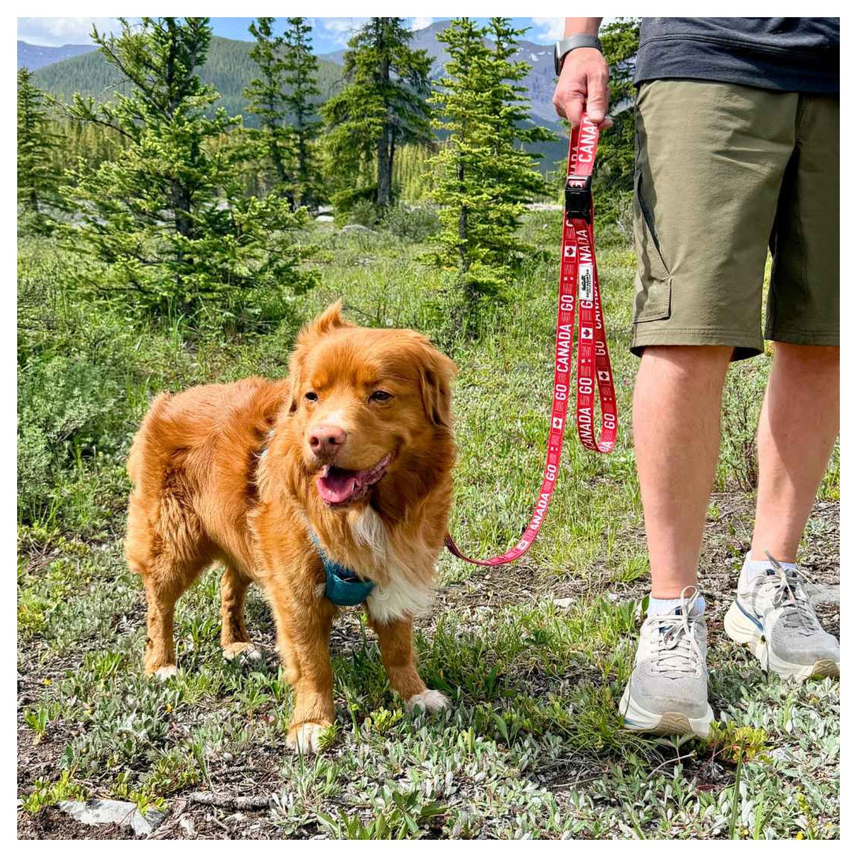 Rocky Mountain Dog Go Canada Go 狗帶｜加拿大直送 產品細節圖 2