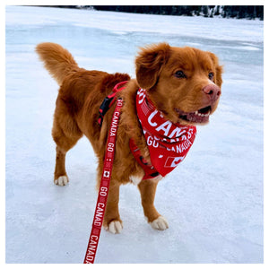 Rocky Mountain Dog Go Canada Go 狗帶｜加拿大直送 產品細節圖 5