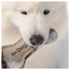 Rocky Mountain Dog Dog Bone Toy 戶外狗狗用品｜加拿大直送 主產品圖